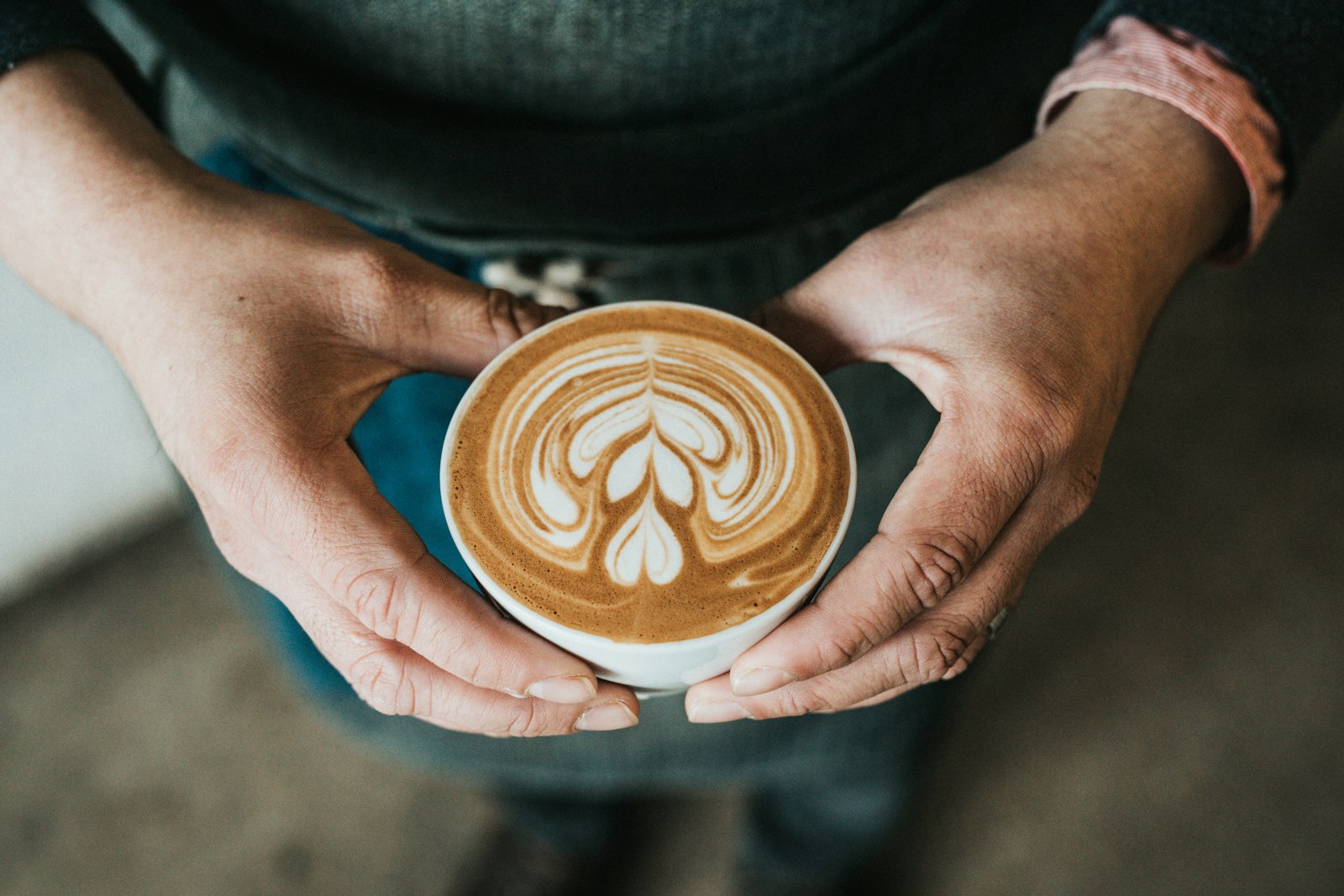 Hands cradling a white cup with rosetta latte art