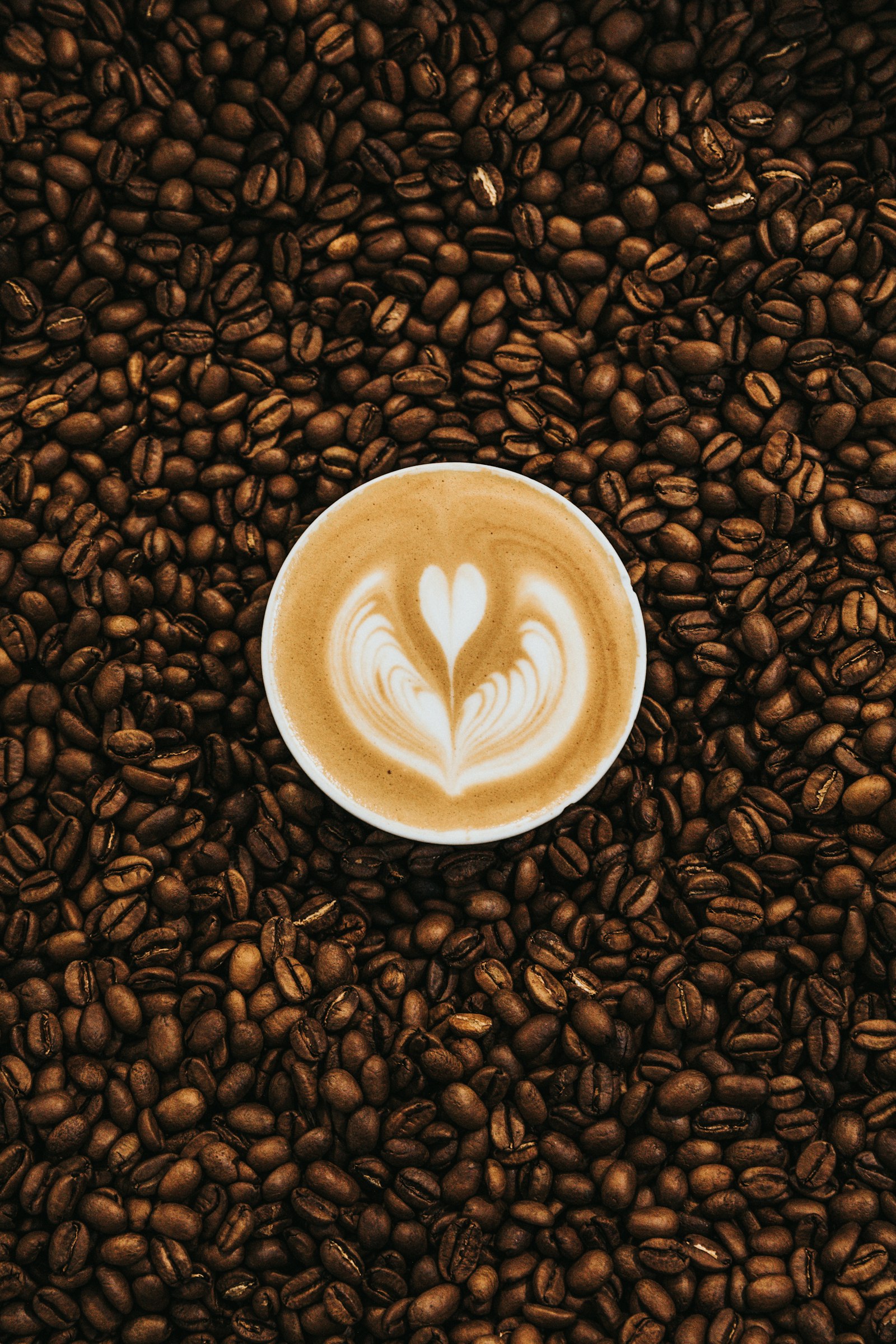 Overhead view of a white cup of latte art resting on a bed of roasted coffee beans