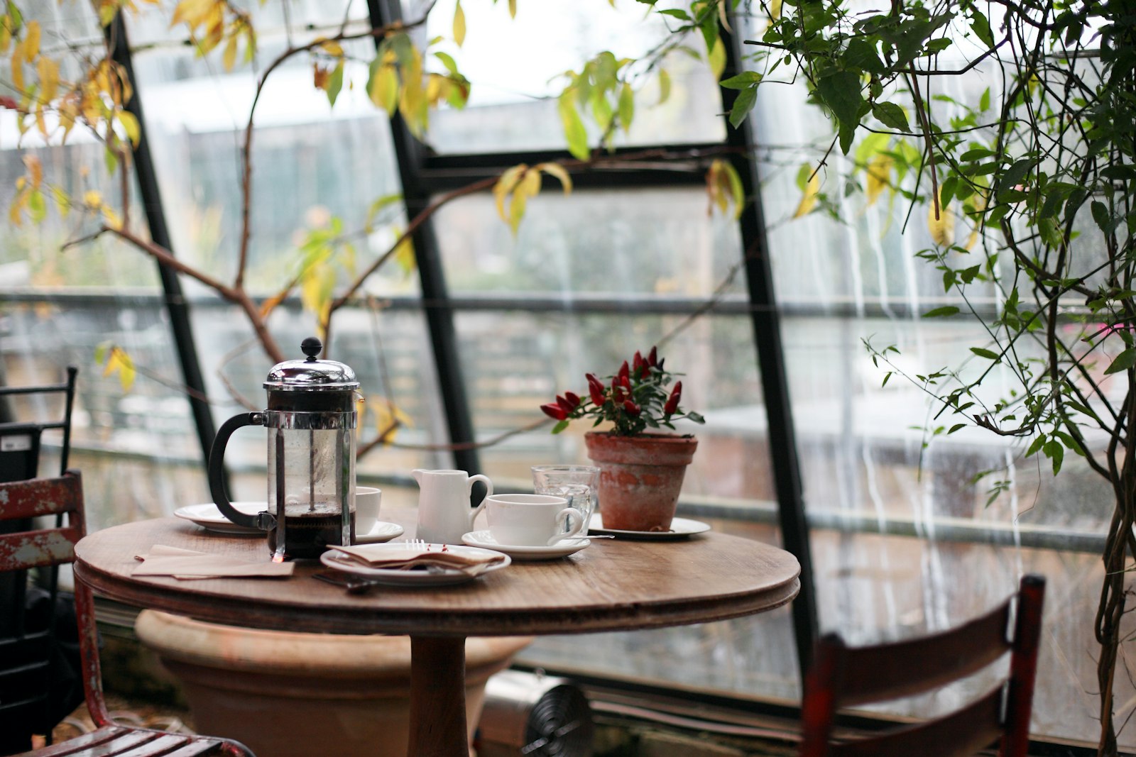 Coffee table setting with French press inside a glass greenhouse
